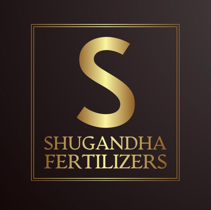 WhatsApp Image 2026-04-10 at 10.17.16 AM (1)